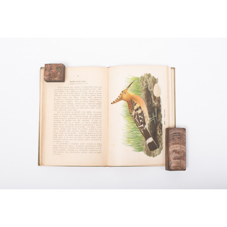 DYAKOWSKI B., Ptaki pożyteczne naszych lasów, pól i ogrodów, Warszawa  [1915]