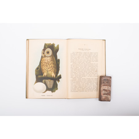 DYAKOWSKI B., Ptaki pożyteczne naszych lasów, pól i ogrodów, Warszawa  [1915]