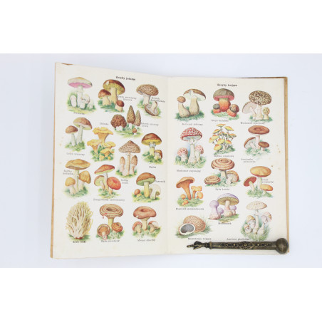 KOLOROWY ATLASIK grzybów i ziół leczniczych, [s.l.] [1910]