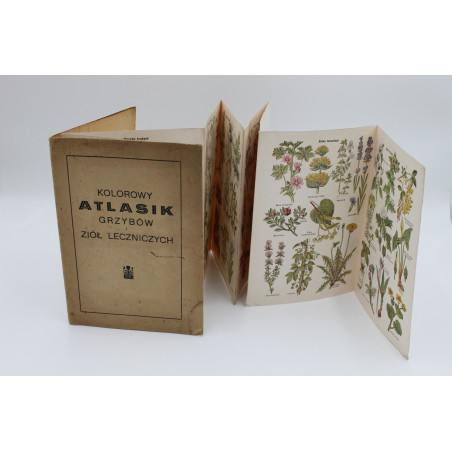KOLOROWY ATLASIK grzybów i ziół leczniczych, [s.l.] [1910]