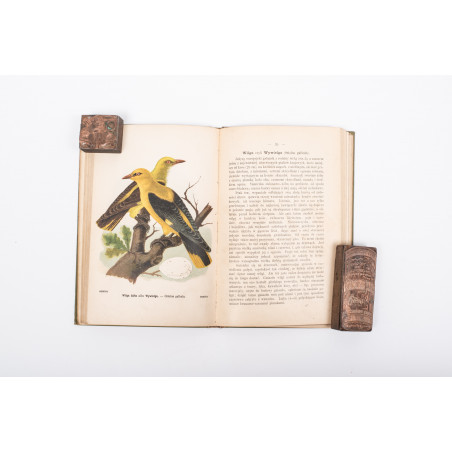 DYAKOWSKI B., Ptaki pożyteczne naszych lasów, pól i ogrodów, Warszawa  [1915]