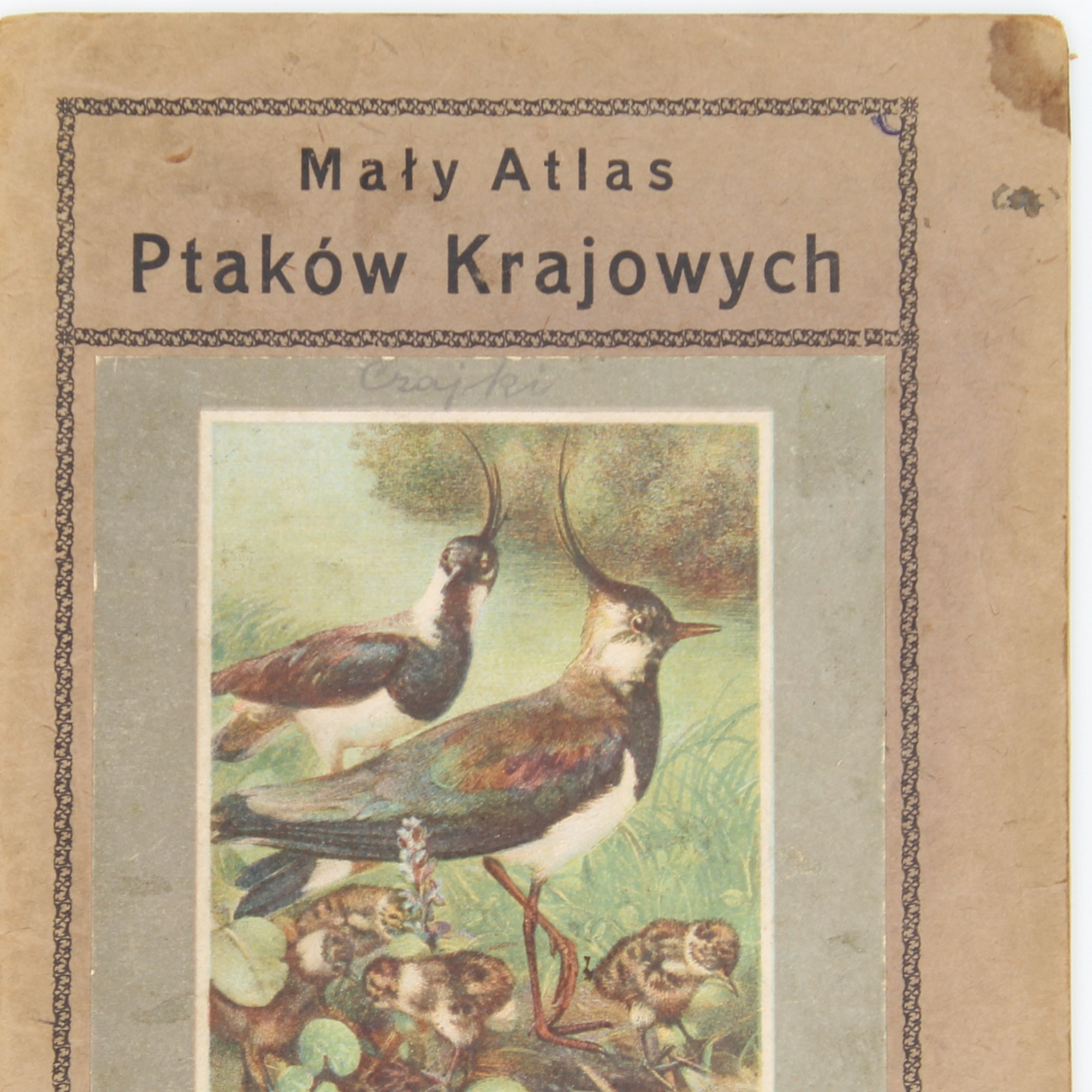 MAŁY ATLAS ptaków krajowych. Zeszyt II, Warszawa 1931
