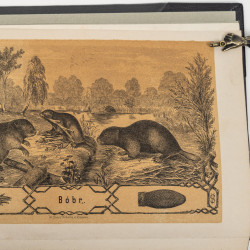 PRZYRODNIK. Sześciotygodnik popularny. Rok drugi, Lwów  1872