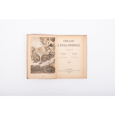 JANOTA E., ANCZYC W., Obrazki z życia zwierząt. Bóbr. Żubr, Kraków 1876