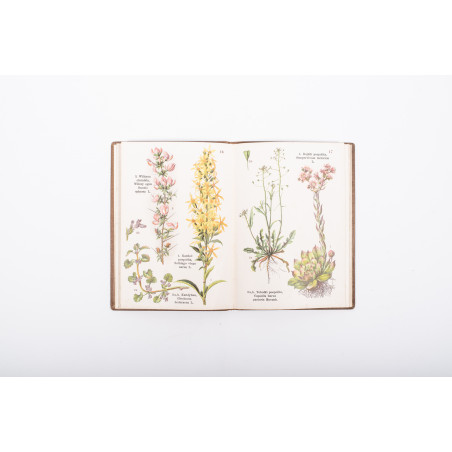 ATLAS ZIÓŁ LECZNICZYCH. 74 rysunki kolorowe na 46 tablicach, Warszawa [b.r.] 