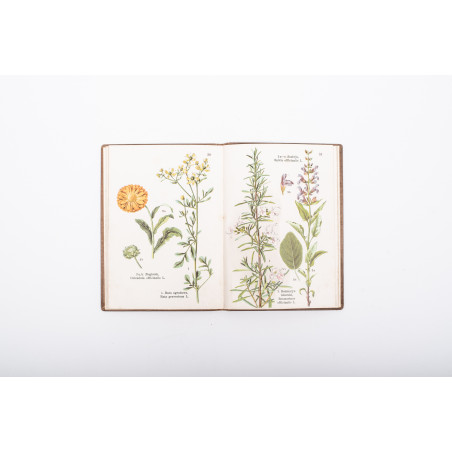 ATLAS ZIÓŁ LECZNICZYCH. 74 rysunki kolorowe na 46 tablicach, Warszawa [b.r.] 