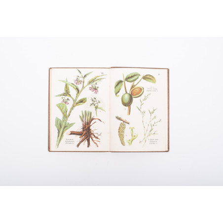 ATLAS ZIÓŁ LECZNICZYCH. 74 rysunki kolorowe na 46 tablicach, Warszawa [b.r.] 