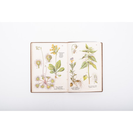 ATLAS ZIÓŁ LECZNICZYCH. 74 rysunki kolorowe na 46 tablicach, Warszawa [b.r.] 