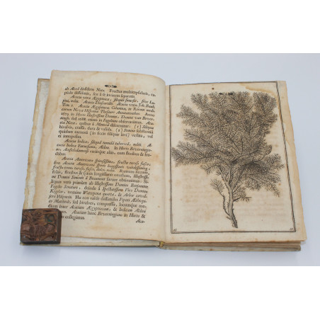 BREYN(IUS) J., Prodromus fasciculi rariorum plantarum secundus, Gedani 1689