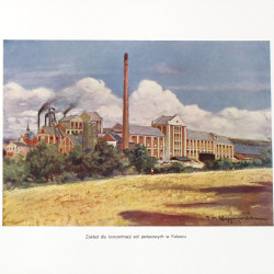 KAŁUSZ-STEBNIK, Luksusowa wersja albumu, Lwów  1927