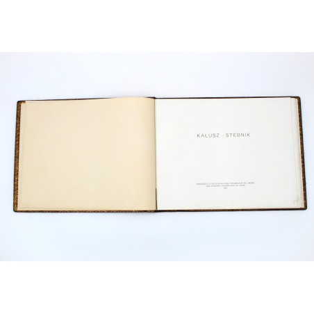 KAŁUSZ-STEBNIK, Luksusowa wersja albumu, Lwów  1927