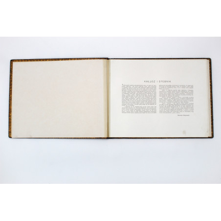 KAŁUSZ-STEBNIK, Luksusowa wersja albumu, Lwów  1927
