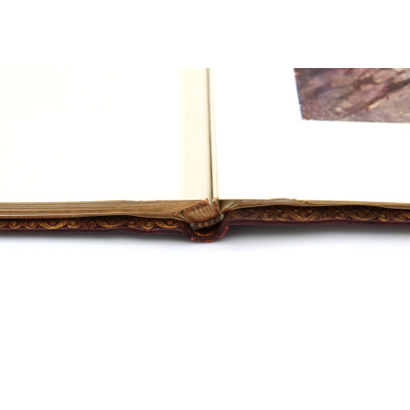 KAŁUSZ-STEBNIK, Luksusowa wersja albumu, Lwów  1927