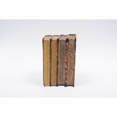 VIREY J.J., Historya naturalna rodu ludzkiego.  Z 10 tablicami kolorowanych rycin. T. I–IV, Warszawa  1843