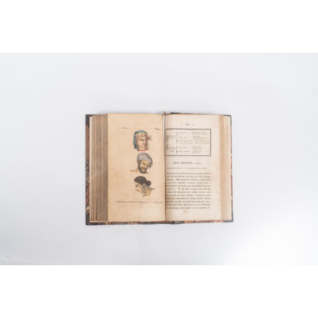 VIREY J.J., Historya naturalna rodu ludzkiego.  Z 10 tablicami kolorowanych rycin. T. I–IV, Warszawa  1843