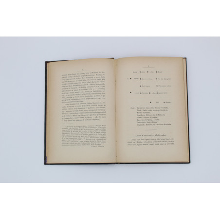 KRASIŃSKI J., Pamiętniki Józefa hrabiego Krasińskiego od roku 1790-1831, Poznań 1877