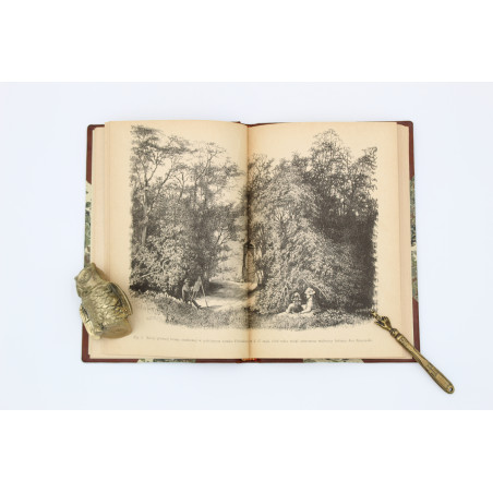 MANTEUFFEL G., Cywilizacya, literatura i sztuka w dawnej kolonii zachodniej nad Bałtykiem, Kraków 1897