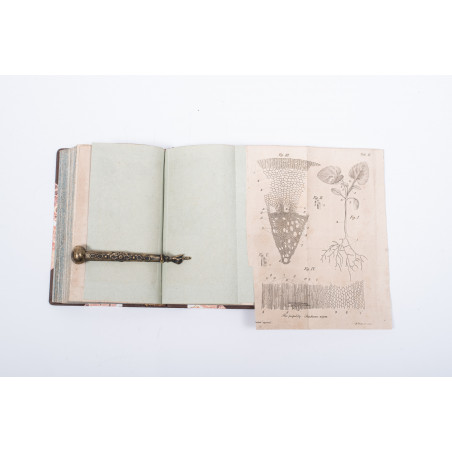 SZUBERT M., Rozprawa o składzie wewnętrznym roślin okazanym na bzie pospolitym, "Rocznik Tow. Królew. Warszaw.". T. XV, 1822