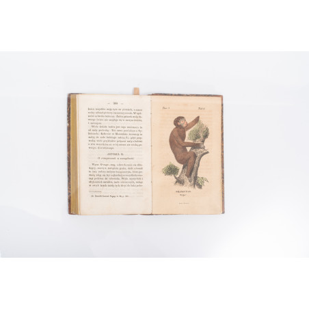 VIREY J.J., Historya naturalna rodu ludzkiego.  Z 10 tablicami kolorowanych rycin. T. I–IV, Warszawa  1843