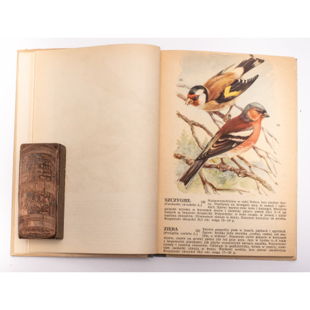 [SOKOŁOWSKI J.], Ptaki prawnie chronione, Warszawa  1964