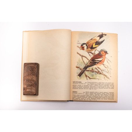[SOKOŁOWSKI J.], Ptaki prawnie chronione, Warszawa  1964
