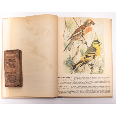 [SOKOŁOWSKI J.], Ptaki prawnie chronione, Warszawa  1964