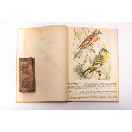 [SOKOŁOWSKI J.], Ptaki prawnie chronione, Warszawa  1964