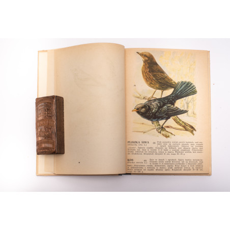 [SOKOŁOWSKI J.], Ptaki prawnie chronione, Warszawa  1964