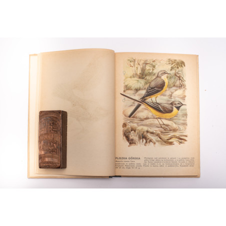 [SOKOŁOWSKI J.], Ptaki prawnie chronione, Warszawa  1964