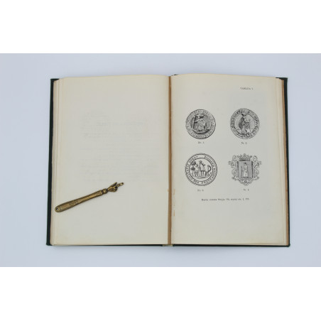 PROCHASKA A., Historja Miasta Stryja, Lwów 1926