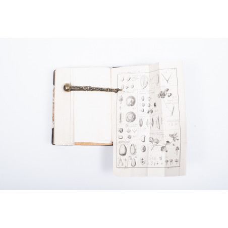 SZUBERT M., Rozprawa o składzie nasienia, początkowem rozrastaniu się zarodka, "Rocznik Tow. Królew. Warszaw.". T. XVII,  1824