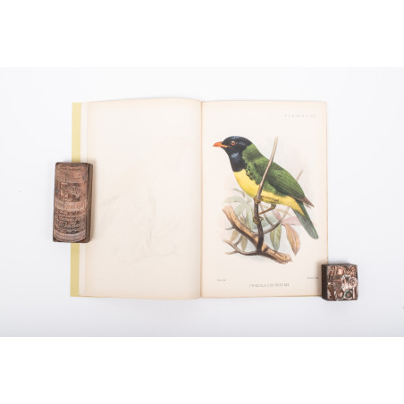 TACZANOWSKI W., Liste des Oiseaux recueillis au Nord du Perou par MM. Stolzmann et Jelski, 1879