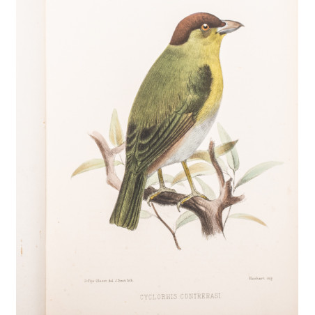 TACZANOWSKI W., Liste des Oiseaux recueillis au Nord du Perou par MM. Stolzmann et Jelski, 1879