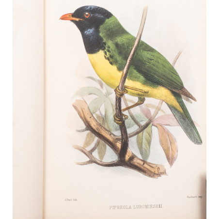 TACZANOWSKI W., Liste des Oiseaux recueillis au Nord du Perou par MM. Stolzmann et Jelski, 1879