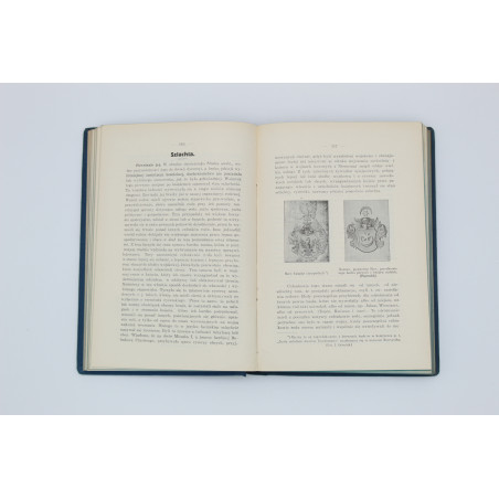 POPIOŁEK F., Dzieje Śląska Austryackiego z illustracyami, Cieszyn 1913