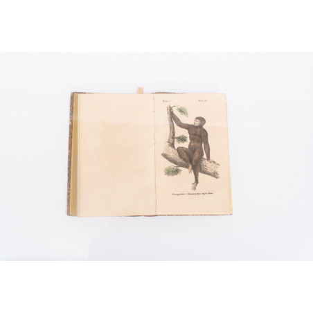VIREY J.J., Historya naturalna rodu ludzkiego.  Z 10 tablicami kolorowanych rycin. T. I–IV, Warszawa  1843