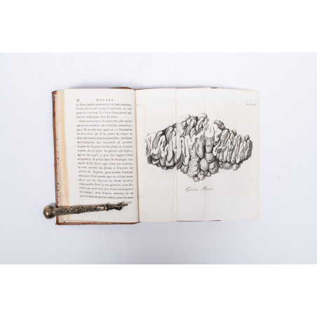 TOWNSON R., Voyage en Hongrie precede d'une Description de la ville de Vienne. T. III, Paris 1800