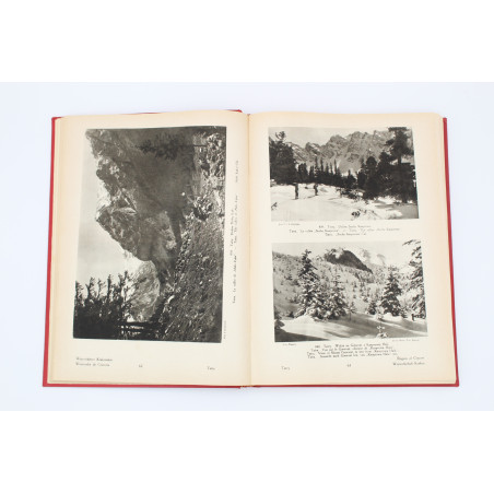 [RADZISZEWSKI F.J. Oprawa], Polska w krajobrazie i zabytkach, Warszawa 1930