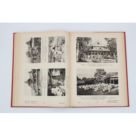 [RADZISZEWSKI F.J. Oprawa], Polska w krajobrazie i zabytkach, Warszawa 1930