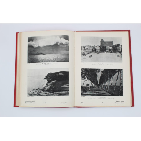 [RADZISZEWSKI F.J. Oprawa], Polska w krajobrazie i zabytkach, Warszawa 1930