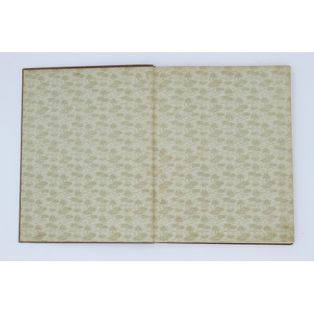 STAFF L., Mistrz Twardowski, Lwów 1902