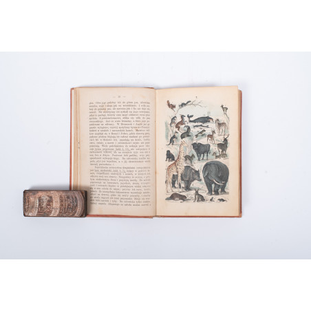 STRÄSSLE Fr., Historya naturalna krotko zebrana dla młodocianego wieku. Wydanie drugie, Warszawa 1869