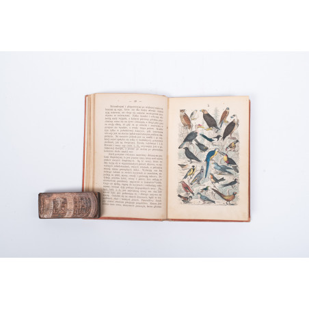 STRÄSSLE Fr., Historya naturalna krotko zebrana dla młodocianego wieku. Wydanie drugie, Warszawa 1869