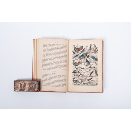 STRÄSSLE Fr., Historya naturalna krotko zebrana dla młodocianego wieku. Wydanie drugie, Warszawa 1869