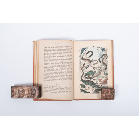 STRÄSSLE Fr., Historya naturalna krotko zebrana dla młodocianego wieku. Wydanie drugie, Warszawa 1869