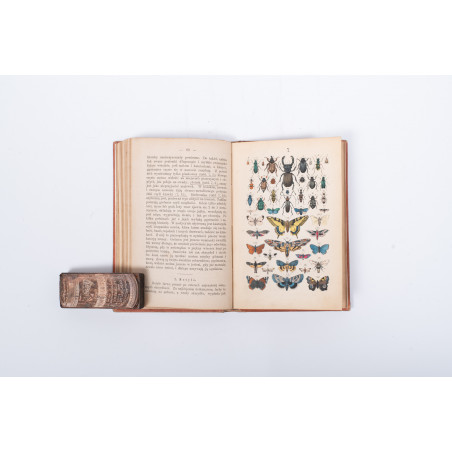 STRÄSSLE Fr., Historya naturalna krotko zebrana dla młodocianego wieku. Wydanie drugie, Warszawa 1869