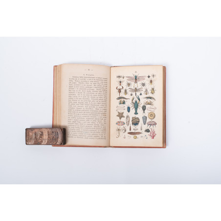 STRÄSSLE Fr., Historya naturalna krotko zebrana dla młodocianego wieku. Wydanie drugie, Warszawa 1869