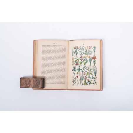 STRÄSSLE Fr., Historya naturalna krotko zebrana dla młodocianego wieku. Wydanie drugie, Warszawa 1869