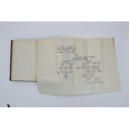 STECKI T.J., Wołyń Serya 2-ga, Lwów 1871