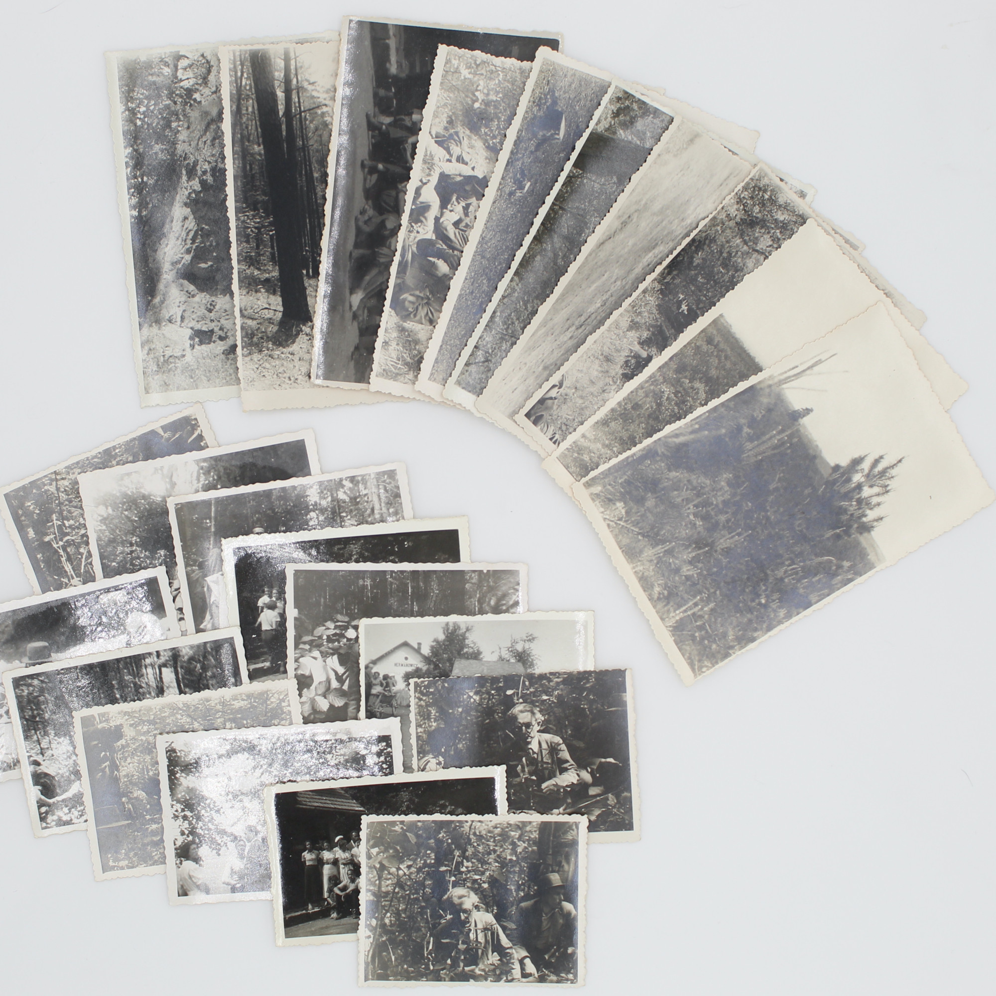 [23 FOTO], Botanizowanie: Janów-Mieżyniec, [nie przed V.1937] 